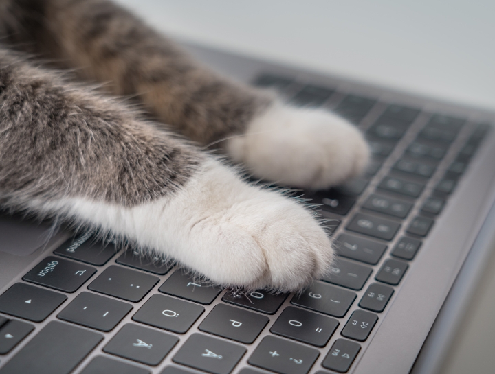 Now Available: Mobile App & Online Booking